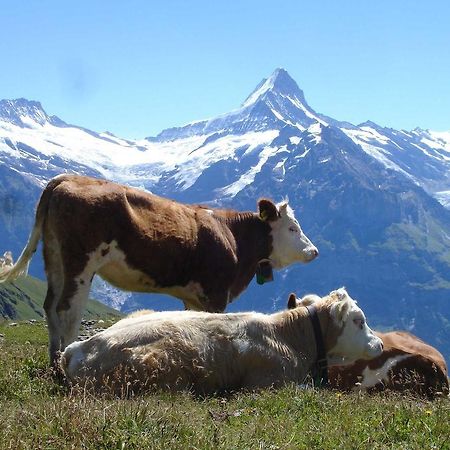 Beim See Grindelwald Extérieur photo