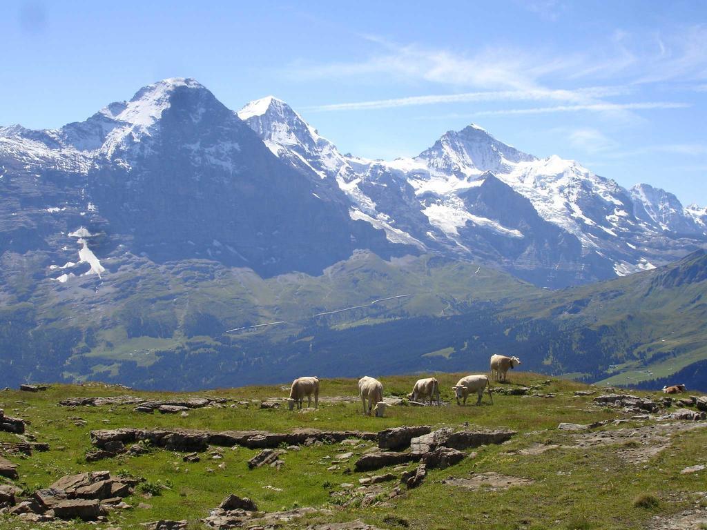 Beim See Grindelwald Extérieur photo
