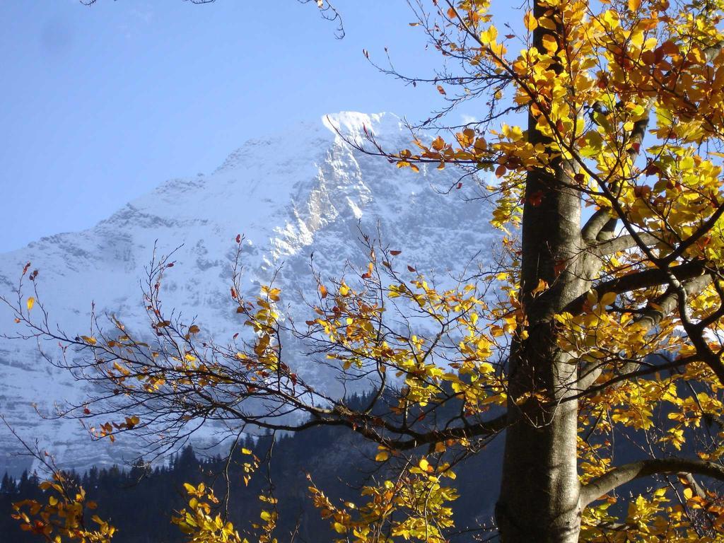Beim See Grindelwald Extérieur photo